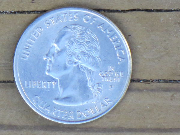 2-State-Quarter-Errors